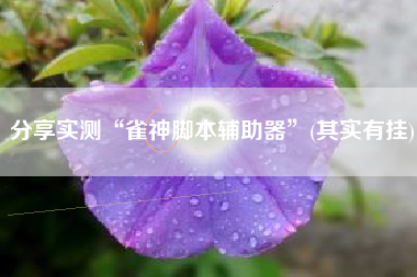 分享实测“雀神脚本辅助器”(其实有挂) 分享实测“雀神脚本辅助器”(其实有挂)