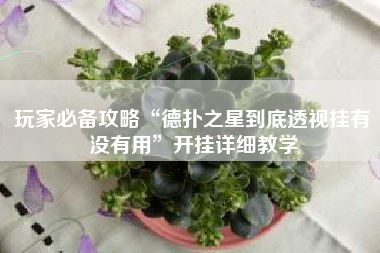 玩家必备攻略“德扑之星到底透视挂有没有用”开挂详细教学 玩家必备攻略“德扑之星到底透视挂有没有用”开挂详细教学