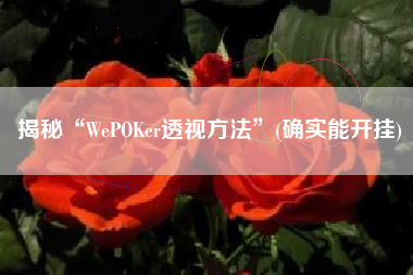 揭秘“WePOKer透视方法”(确实能开挂) 揭秘“WePOKer透视方法”(确实能开挂)