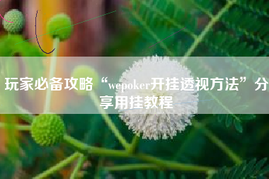 玩家必备攻略“wepoker开挂透视方法”分享用挂教程 玩家必备攻略“wepoker开挂透视方法”分享用挂教程