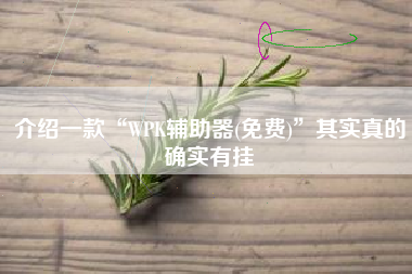 介绍一款“WPK辅助器(免费)”其实真的确实有挂 介绍一款“WPK辅助器(免费)”其实真的确实有挂