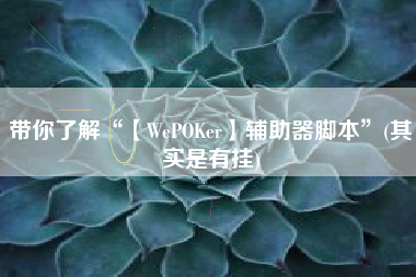 带你了解“【WePOKer】辅助器脚本”(其实是有挂)