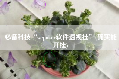 必备科技“wepoker软件透视挂”(确实能开挂) 必备科技“wepoker软件透视挂”(确实能开挂)