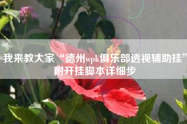 我来教大家“德州wpk俱乐部透视辅助挂”附开挂脚本详细步 我来教大家“德州wpk俱乐部透视辅助挂”附开挂脚本详细步