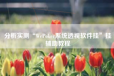 分析实测“WePoker系统透视软件挂”挂辅助教程 分析实测“WePoker系统透视软件挂”挂辅助教程