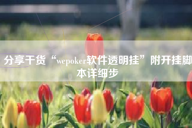 分享干货“wepoker软件透明挂”附开挂脚本详细步 分享干货“wepoker软件透明挂”附开挂脚本详细步