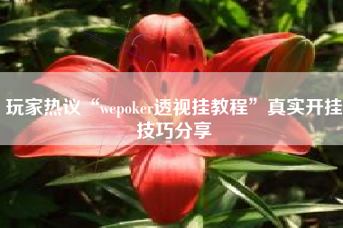 玩家热议“wepoker透视挂教程”真实开挂技巧分享