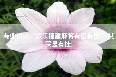专业讨论“微乐福建麻将有没有挂”(其实是有挂)