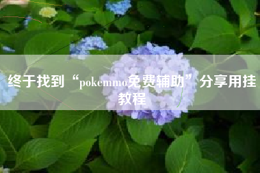 终于找到“pokemmo免费辅助”分享用挂教程