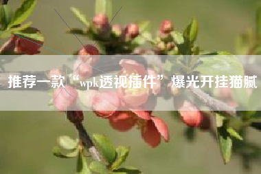 推荐一款“wpk透视插件”爆光开挂猫腻