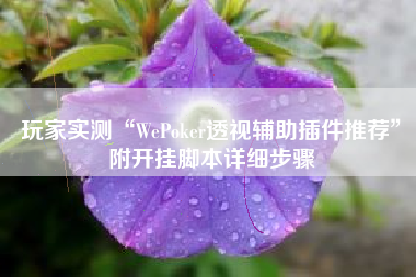玩家实测“WePoker透视辅助插件推荐”附开挂脚本详细步骤