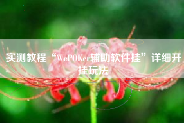 实测教程“WePOKer辅助软件挂”详细开挂玩法 实测教程“WePOKer辅助软件挂”详细开挂玩法