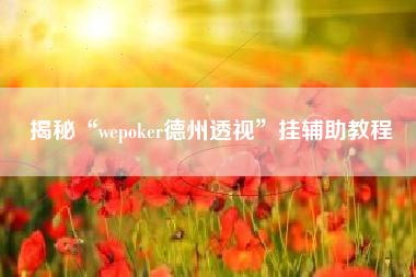 揭秘“wepoker德州透视”挂辅助教程