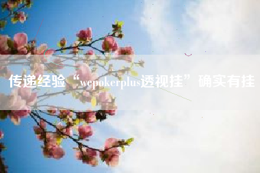 传递经验“wepokerplus透视挂”确实有挂