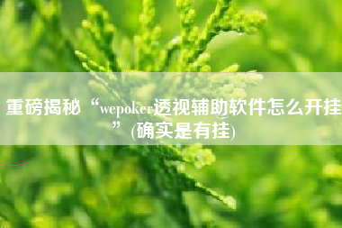 重磅揭秘“wepoker透视辅助软件怎么开挂”(确实是有挂)