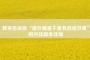 我来告诉你“德扑圈是不是有透视效果”附开挂脚本详细 我来告诉你“德扑圈是不是有透视效果”附开挂脚本详细