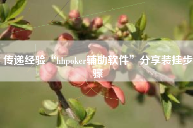 传递经验“hhpoker辅助软件”分享装挂步骤
