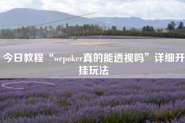 今日教程“wepoker真的能透视吗”详细开挂玩法
