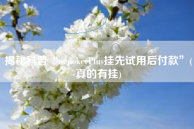 揭秘科普“wepokerPlus挂先试用后付款”(真的有挂) 揭秘科普“wepokerPlus挂先试用后付款”(真的有挂)