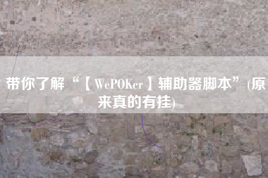 带你了解“【WePOKer】辅助器脚本”(原来真的有挂) 带你了解“【WePOKer】辅助器脚本”(原来真的有挂)