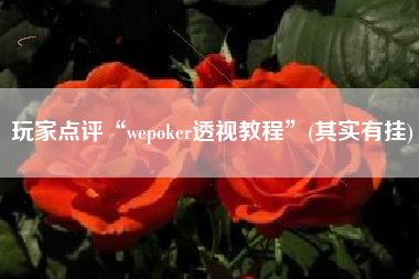 玩家点评“wepoker透视教程”(其实有挂) 玩家点评“wepoker透视教程”(其实有挂)