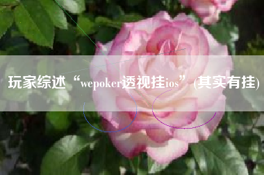 玩家综述“wepoker透视挂ios”(其实有挂) 玩家综述“wepoker透视挂ios”(其实有挂)