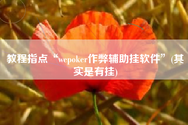 教程指点“wepoker作弊辅助挂软件”(其实是有挂) 教程指点“wepoker作弊辅助挂软件”(其实是有挂)