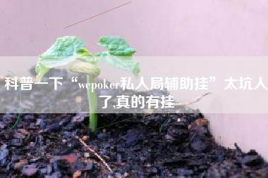 科普一下“wepoker私人局辅助挂”太坑人了,真的有挂