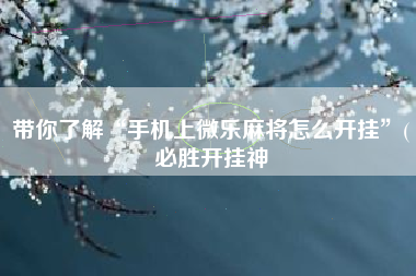 带你了解“手机上微乐麻将怎么开挂”(必胜开挂神 带你了解“手机上微乐麻将怎么开挂”(必胜开挂神