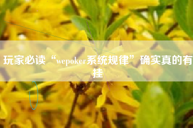 玩家必读“wepoker系统规律”确实真的有挂