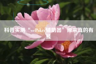 科普实测“wePoker辅助器”原来真的有挂