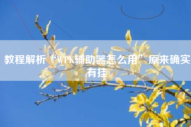 教程解析“WPK辅助器怎么用”原来确实有挂