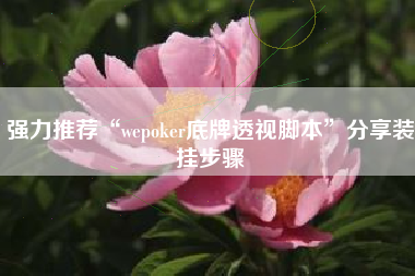 强力推荐“wepoker底牌透视脚本”分享装挂步骤