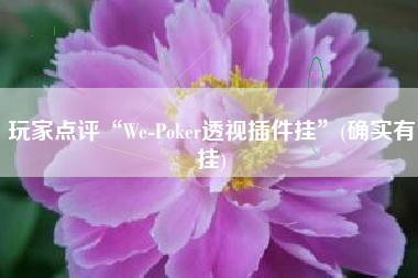 玩家点评“We-Poker透视插件挂”(确实有挂) 玩家点评“We-Poker透视插件挂”(确实有挂)