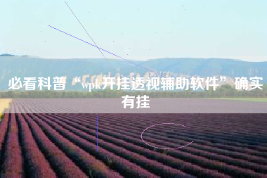 必看科普“wpk开挂透视辅助软件”确实有挂 必看科普“wpk开挂透视辅助软件”确实有挂