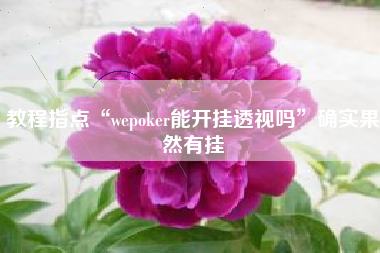 教程指点“wepoker能开挂透视吗”确实果然有挂 教程指点“wepoker能开挂透视吗”确实果然有挂