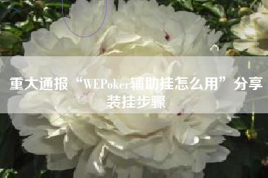 重大通报“WEPoker辅助挂怎么用”分享装挂步骤 重大通报“WEPoker辅助挂怎么用”分享装挂步骤