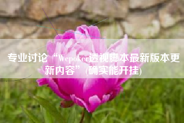 专业讨论“Wepoker透视脚本最新版本更新内容”(确实能开挂)