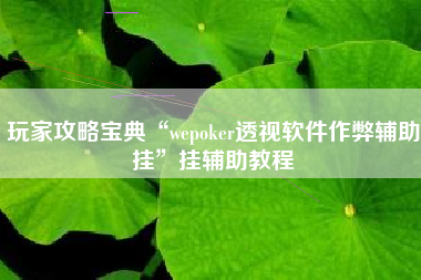 玩家攻略宝典“wepoker透视软件作弊辅助挂”挂辅助教程