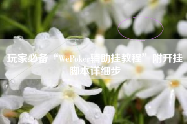 玩家必备“WePoker辅助挂教程”附开挂脚本详细步