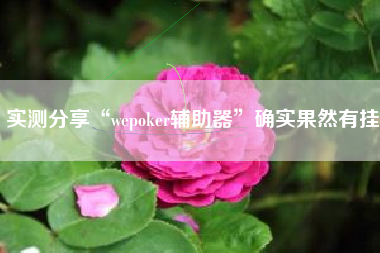 实测分享“wepoker辅助器”确实果然有挂 实测分享“wepoker辅助器”确实果然有挂