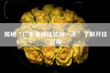 揭秘“广东雀神挂试用一天”了解开挂过程 揭秘“广东雀神挂试用一天”了解开挂过程