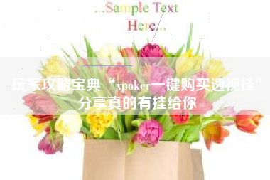 玩家攻略宝典“xpoker一键购买透视挂”分享真的有挂给你 玩家攻略宝典“xpoker一键购买透视挂”分享真的有挂给你