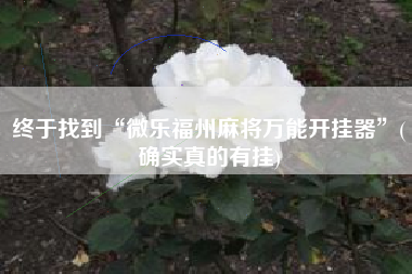 终于找到“微乐福州麻将万能开挂器”(确实真的有挂) 终于找到“微乐福州麻将万能开挂器”(确实真的有挂)