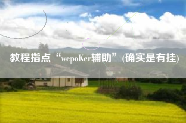 教程指点“wepoKer辅助”(确实是有挂) 教程指点“wepoKer辅助”(确实是有挂)