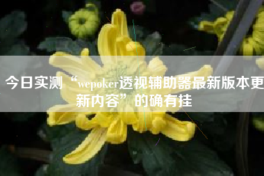 今日实测“wepoker透视辅助器最新版本更新内容”的确有挂