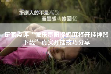 玩家点评“微乐贵阳捉鸡麻将开挂神器下载”真实开挂技巧分享