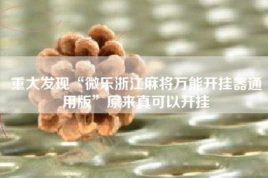 重大发现“微乐浙江麻将万能开挂器通用版”原来真可以开挂 重大发现“微乐浙江麻将万能开挂器通用版”原来真可以开挂