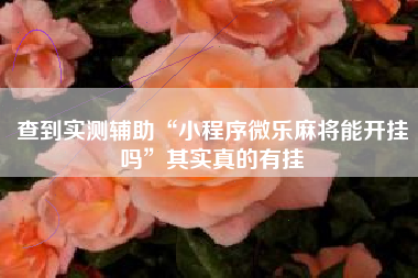 查到实测辅助“小程序微乐麻将能开挂吗”其实真的有挂