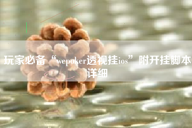 玩家必备“wepoker透视挂ios”附开挂脚本详细 玩家必备“wepoker透视挂ios”附开挂脚本详细
